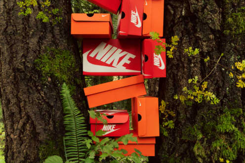 Nike you helped 2025 plant a tree